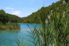 photo "A miracle of the nature"
