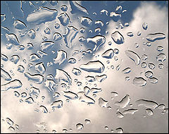 photo "After rain"