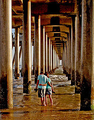 фото "Let Romance Blossom"