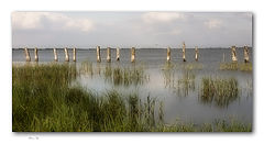 photo "***"