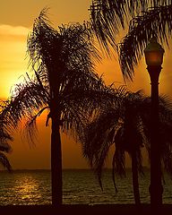 photo "***"