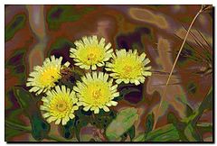 photo "Five little yellow flowers"