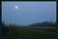 photo "Nightly"