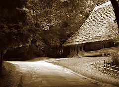 photo "house by the road"