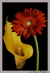 photo "***"
