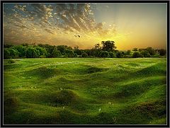 photo "..."