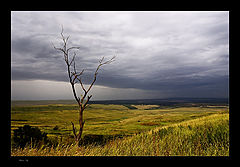 photo "***"