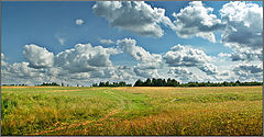 photo "Road in field"