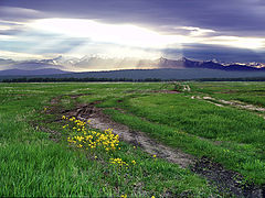 photo "***"