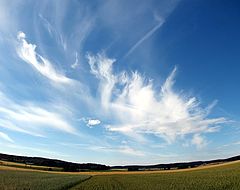 photo "High is the sky"