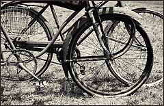 photo "Ol Time Bicycles for sale : July 2006"