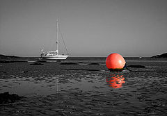 photo "Stranded !!"