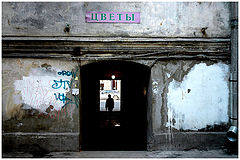 фото "цветы"