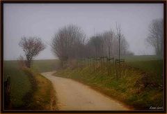 фото "misty winter morning"