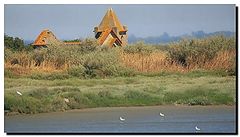 фото "Tagus ruins"