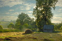 photo "Good morning"