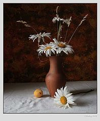 photo "***"
