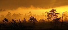 photo "Magical morning"