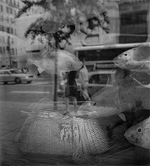 photo "***"