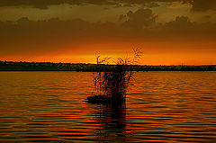 photo "***"
