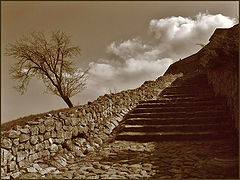 фото "Walking among clouds"