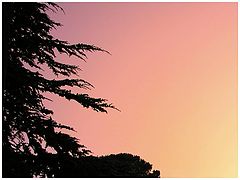 фото "After the thunderstorm"