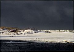 photo "white_in_black"