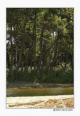 photo "Corse [ Costa Verde ]"