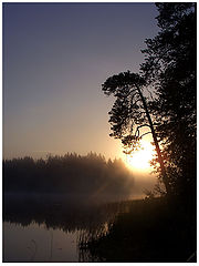 photo "***"