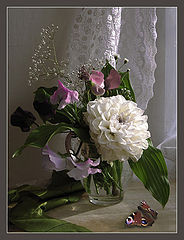 photo "Still-life with a sweet pea"