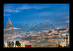 photo "Evening experiments with gravitation and short endurance near to a cool fountain"