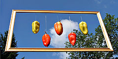 photo "Peppers"