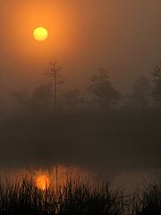 фото "Soft morning"