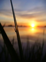 photo "***"