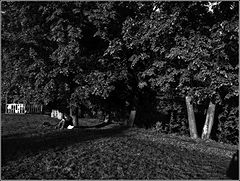 photo "My Picnic."