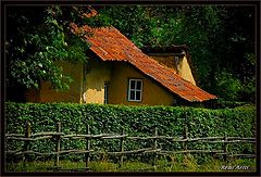 фото "old house"