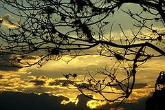 photo "+++"
