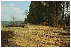 фото "Селигерские пляжи"