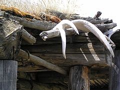 photo "Graveyard Cabin"