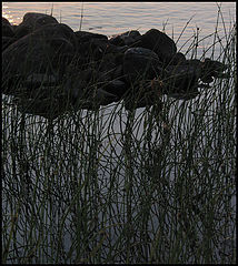 photo "dawn"