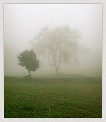 photo "***"