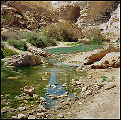 photo "Negev desert"