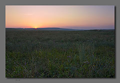 фото "Paints of night."