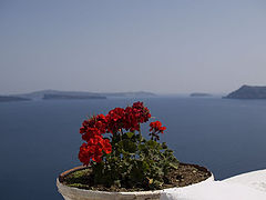photo "***"
