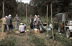 photo "Farm workers"