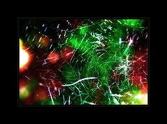 photo "WWW"