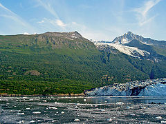 фото "Summer in Alaska"
