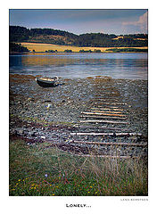 photo "Lonely"