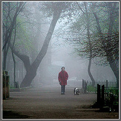photo "***"