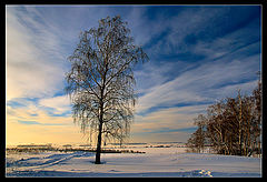 photo "Winter sky"